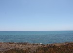 IMG_6397
