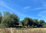 1c897d79-6f76-4a51-b44e-3552ceb398d5