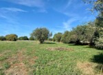 e3cbe6ab-9d79-4847-a1ac-0695a16a2d28